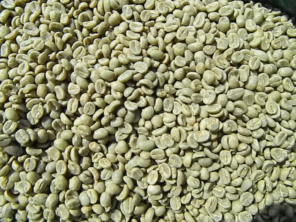 Kenya AB