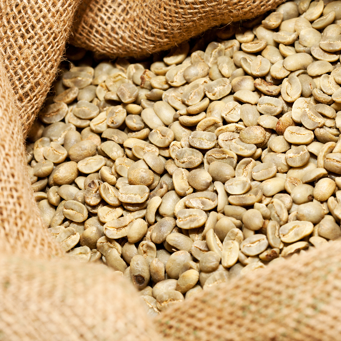 Uganda Robusta