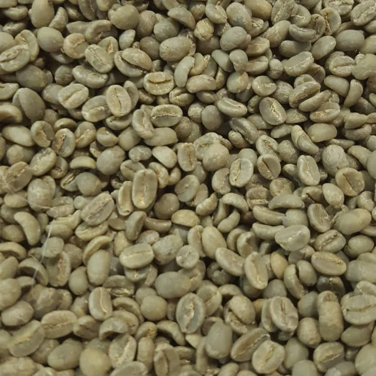 Kenya AA